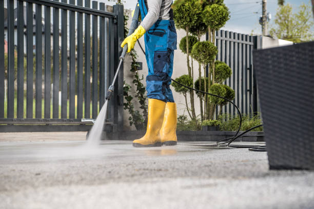 Best Fleet & Vehicle Pressure Washing in Natalbany, LA